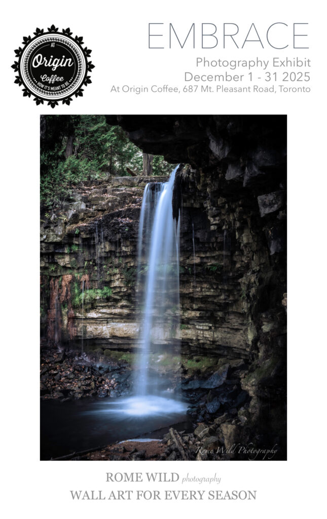 Embrace by Rome Wild Photography poster.